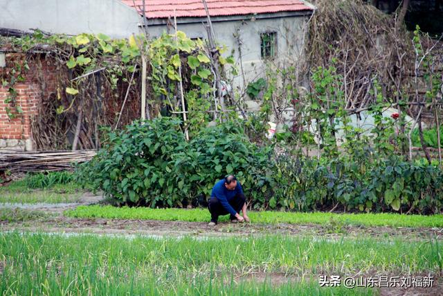 一河两路东端的烧烤场一带暮秋景色
