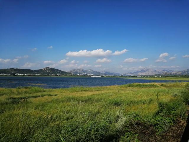 @平度人，十一假期，一起来看家乡美！