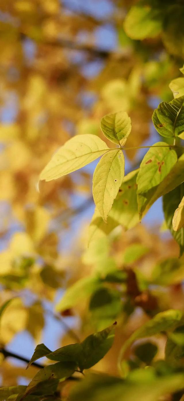 壁纸｜连天气都是瞬息万变的， 谁又能保证身边的一切不会变