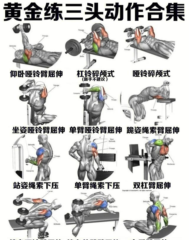中老年人健身，为什么更需要增肌锻炼？