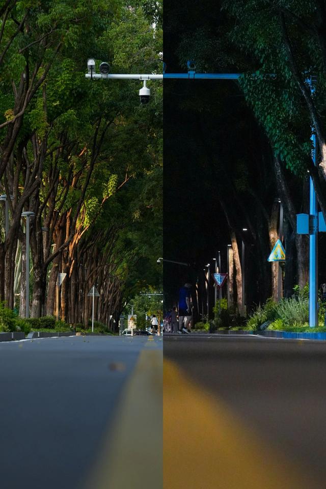 556米，玩一天！江汉这条林荫路越来越惊艳