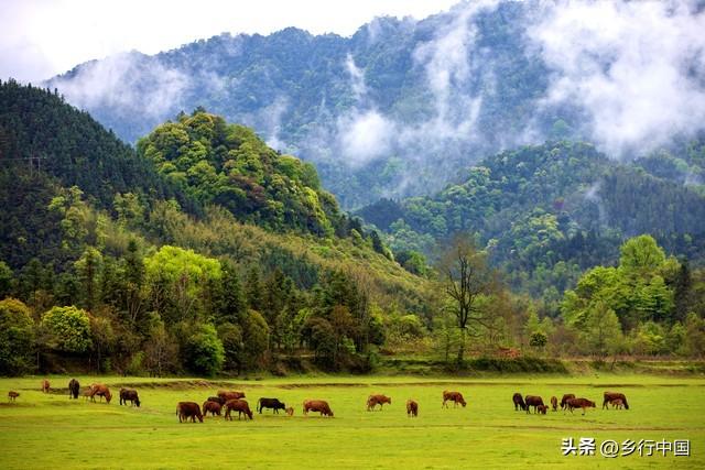 中秋遇国庆，赴一场乡村之约：在山野湖光里治愈城市疲惫
