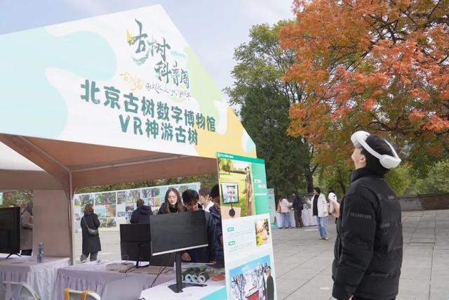 古树年轮里的故事，石景山等您来赴约