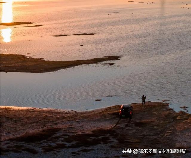 大地的笔触：在杭锦旗遇见哈日芒乃淖的“生命之树”