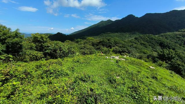 两次本溪南岭徒步记｜高山草甸，湖池松林，我被南岭种草