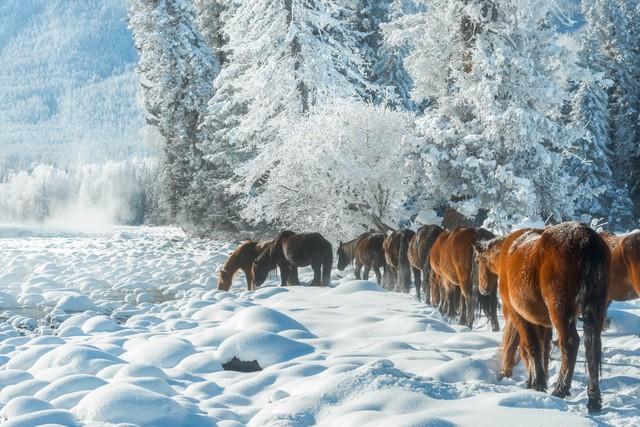 “白天立冬，暖烘烘；晚上立冬，冻死牛”，2025年立冬是几点？