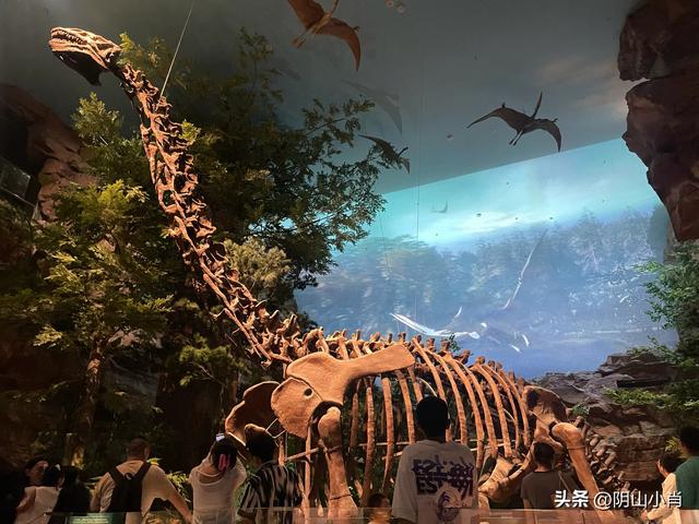 参观内蒙古博物院新馆