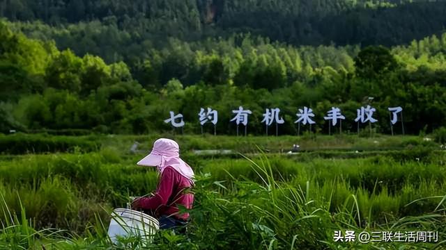 与三联同行，行走黄山不止于“雾凇限定”