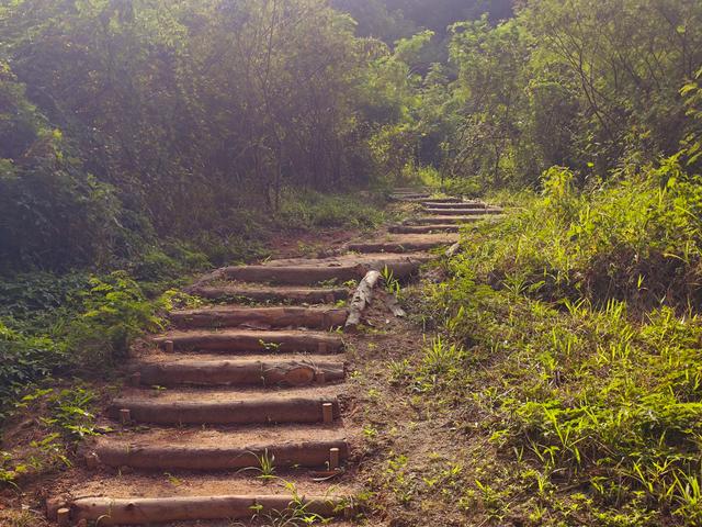 塘朗山郊野公园火车道口与绿平二路段，爬坡酸爽，骑友的天堂