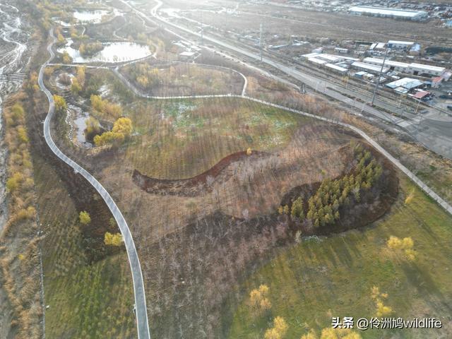 新疆昌吉头屯河公园