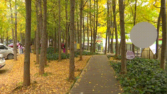 谁懂啊！昆明把冬天过成童话：观鸥、赏银杏、逛市集还能炫咖啡！