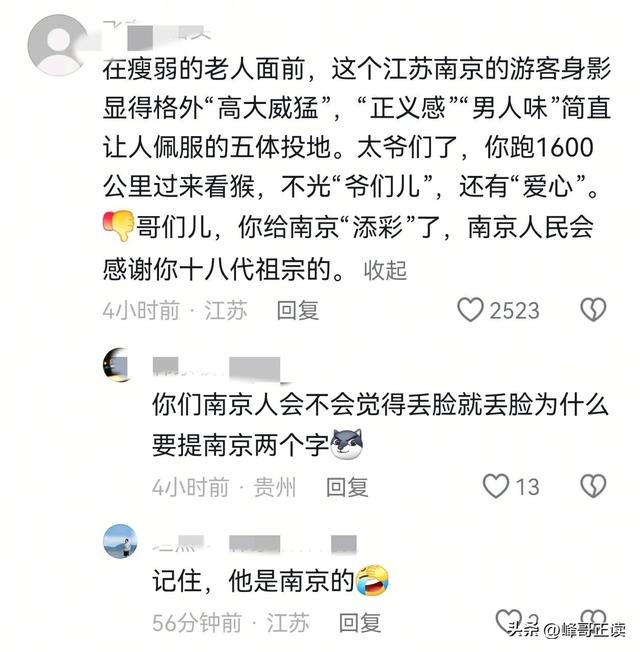 后续！男子大骂景区大爷，身份被扒评论区沦陷，南京文旅意外躺枪
