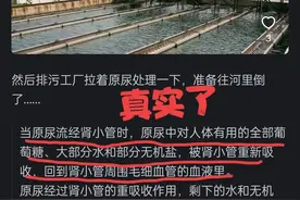 喝水多了尿液是无色的，是不是水没变成尿就排出了？网友：真实了图片