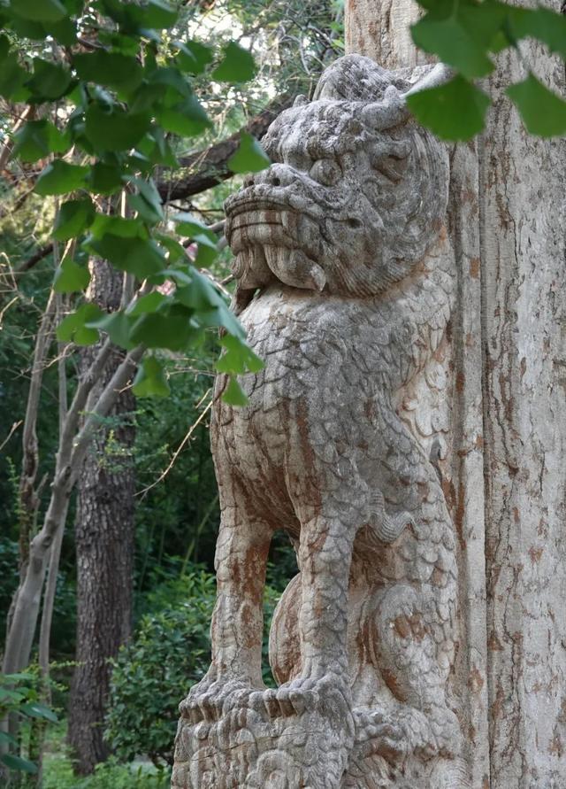 山东，有一座2000年前的一线城市，去青州古城赶一场槐花雨