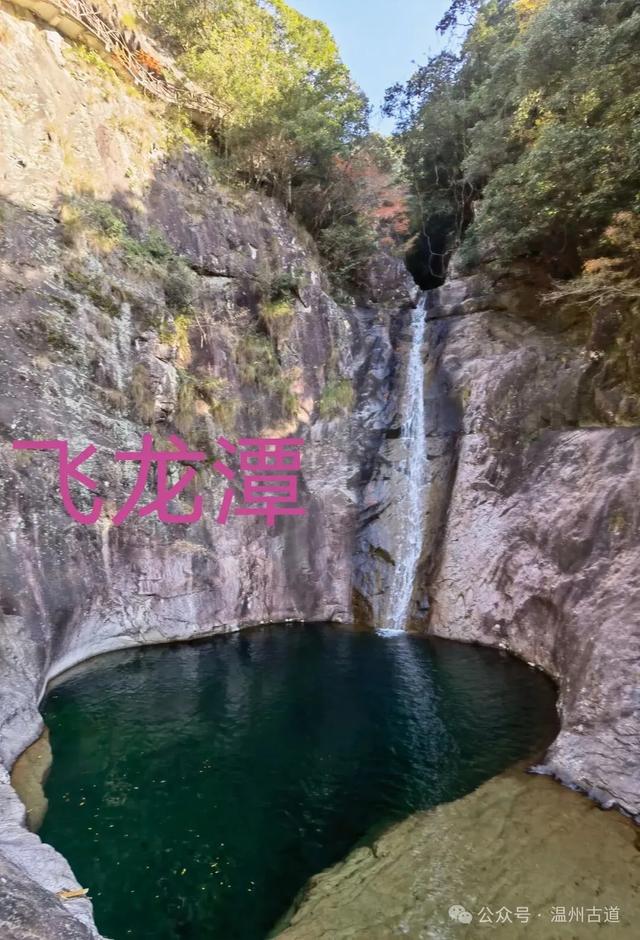 温州这个国家森林公园藏着深秋醉美的秋色,你可去过?