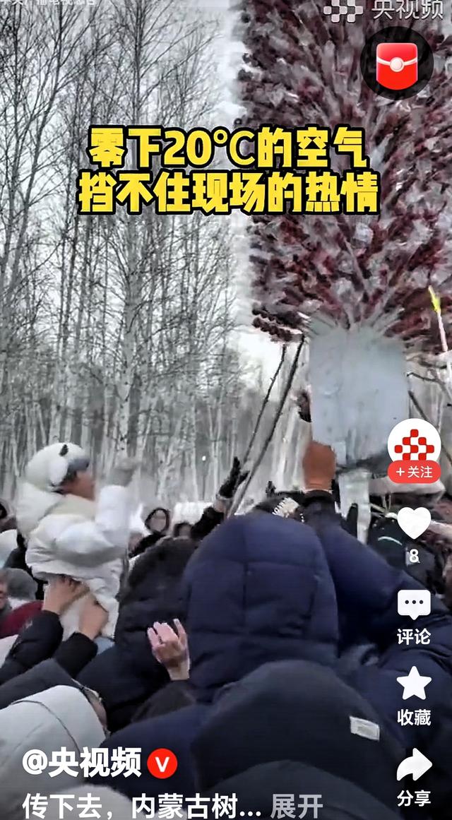 内蒙古的树真“成精”了？满枝糖葫芦免费炫，网友这太懂吃货了！