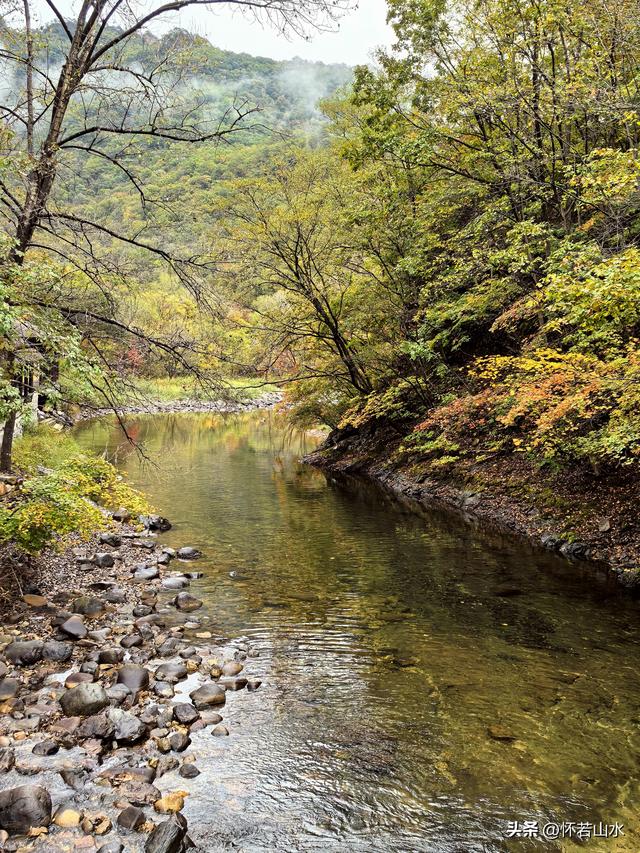 2025辽宁赏秋之旅日记(2)——游览丹东蒲石河森林公园