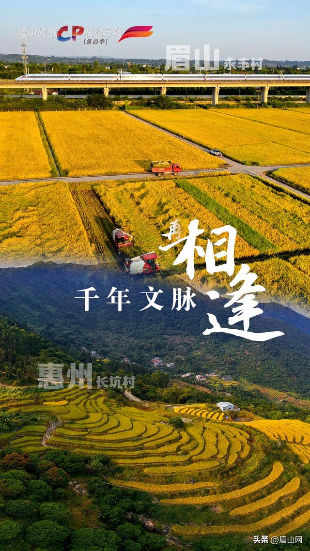 海报｜眉山&惠州：千年文脉再相逢 万里同吟共潮生