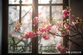 一个人最大的精明：一句话图片