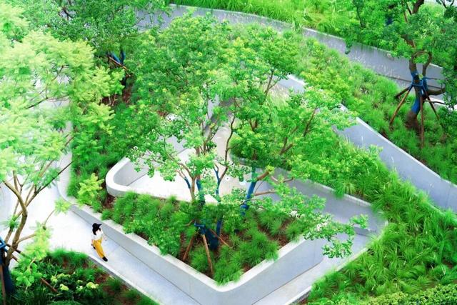 发现·公园城市 | 家门口的这些绿色空间“老少皆宜”