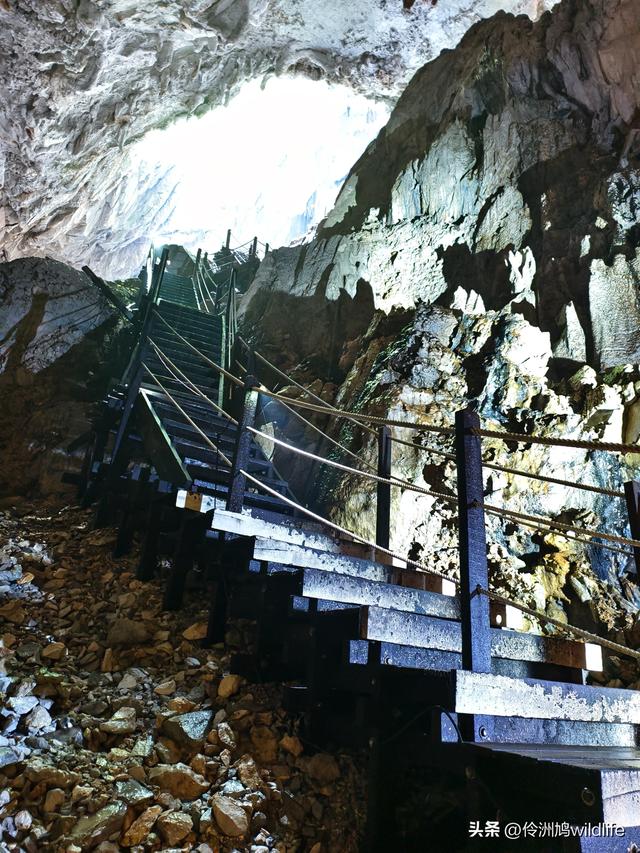 马来西亚(29)砂拉越州③姆鲁山清水洞·风洞