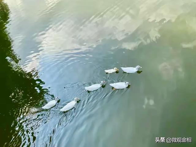 一年四季都可以去打卡的城市绿州麓湖