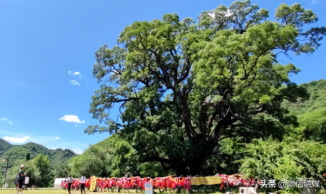 品牌彰显活力 融合驱动增长——​“十四五”崇信县文旅融合综述