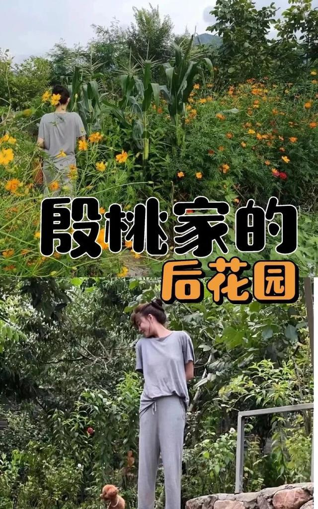 46岁殷桃的“豪宅”又火了，仅一院子就圈粉无数，那叫一个壮观！