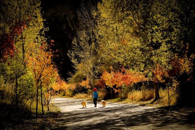 我52岁，找了个62岁老头搭伙过日子，发现男人年纪大了照样“作”