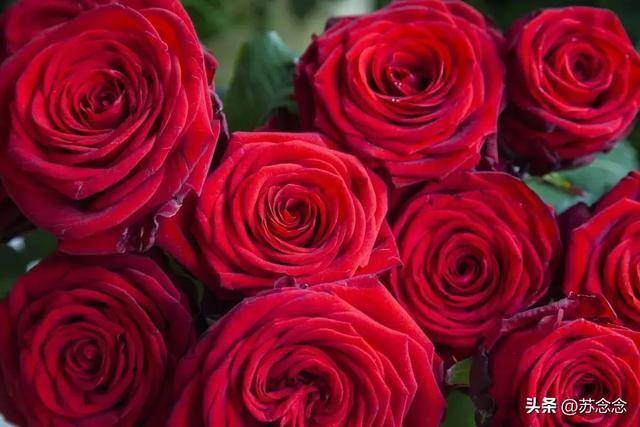 我同居过八位女性，发现女性38岁后找伴侣，主要有三个动因！