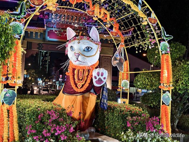 马来西亚(37)砂拉越州⑪告别古晋