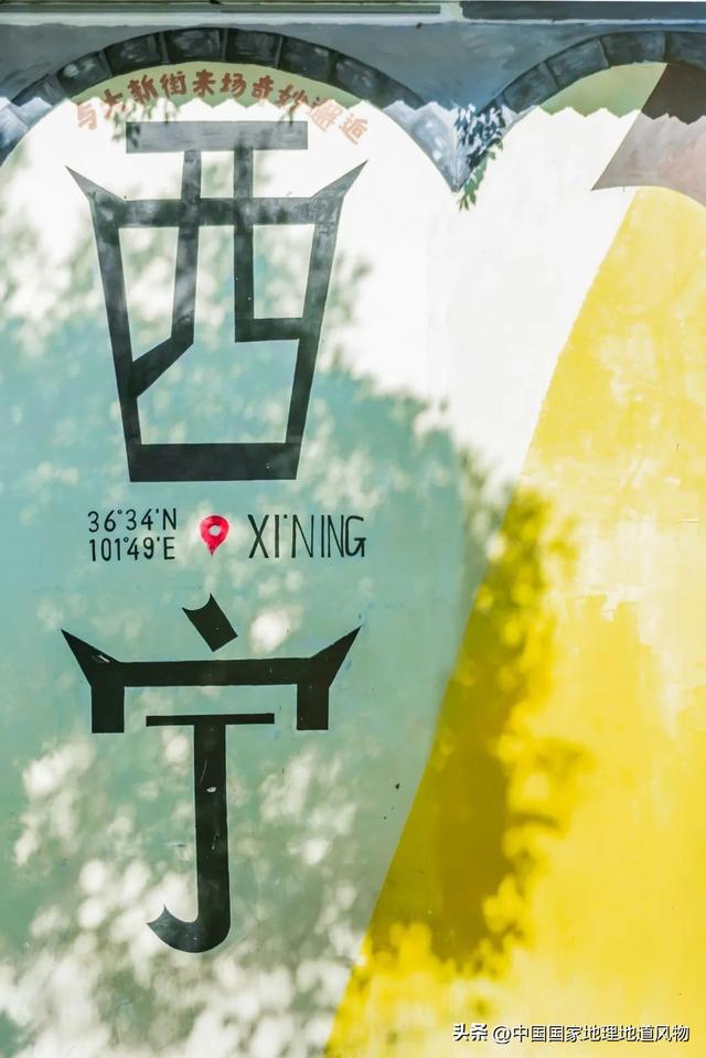 西北避暑第一城，挤满了哪儿凉快哪待着的年轻人