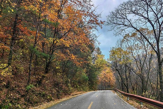 2024深秋四川行19 神农架风景区2 华中屋脊的五彩秘境