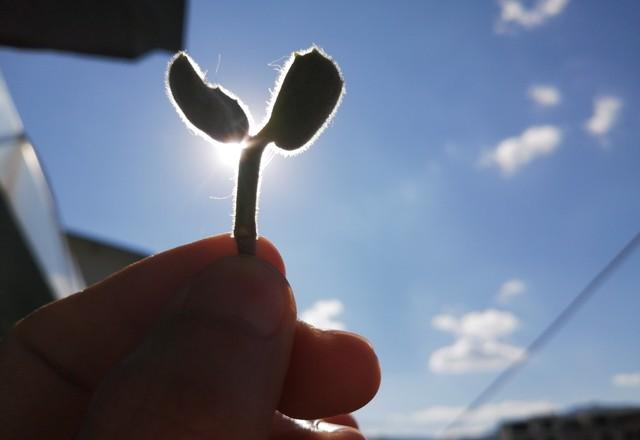 心理学家揭示：容易焦虑的人	，大多中了这个“毒习惯”！