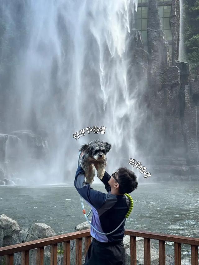 在韶关，带毛孩子去哪“浪”？这份宠物友好地图请收藏，撒欢不踩雷~