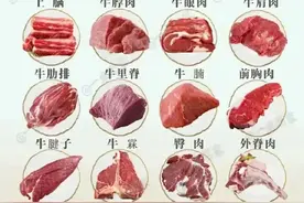 牛肉的各个部位叫啥咋吃大全来啦图片