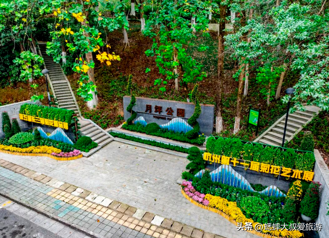 2025杭州植物园菊花展与四大分会场攻略来了，涉及赏玩交通！