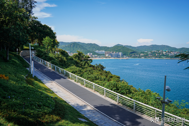 别抢迪士尼了！盐田“海洋非遗”研学开闸，名额秒没，手慢无！