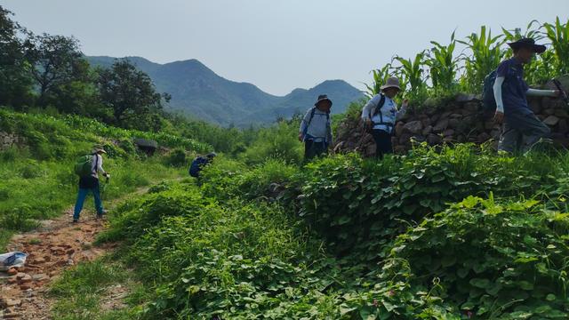 中伏天爬山体验，记石家庄鹿泉常河-北紫沟-南紫沟-南寨穿越