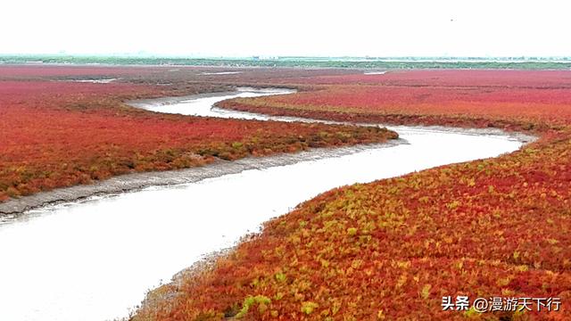 分享一个免费的红海滩，景色一点不差盘锦红海滩，