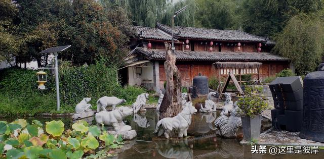乘旅游专线游丽江的观音峡