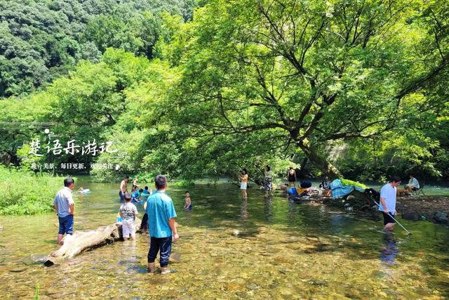 浙江宁波这片玩水地又火了，溪水清浅绿树掩映，确实是避暑秘境