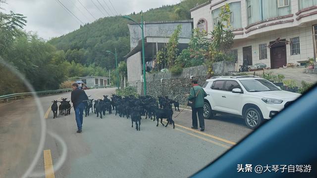 不听车友劝，147公里开了5小时！盘州到兴义，这国道坑我替你们踩