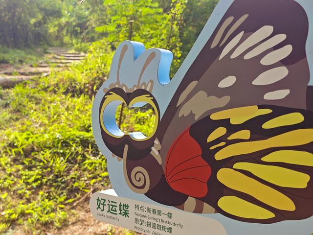 塘朗山郊野公园火车道口与绿平二路段，爬坡酸爽，骑友的天堂