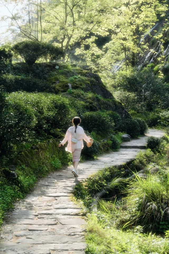 武夷山山居日记：慢下来，才是真正的生活。