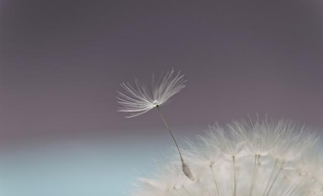 超准！最近有件大喜事等着你