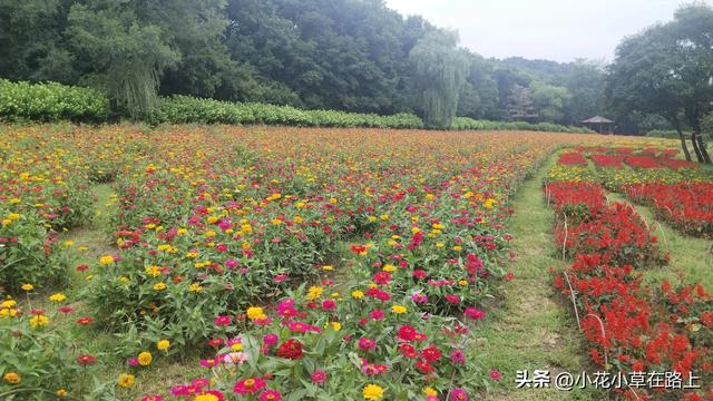 暑假三