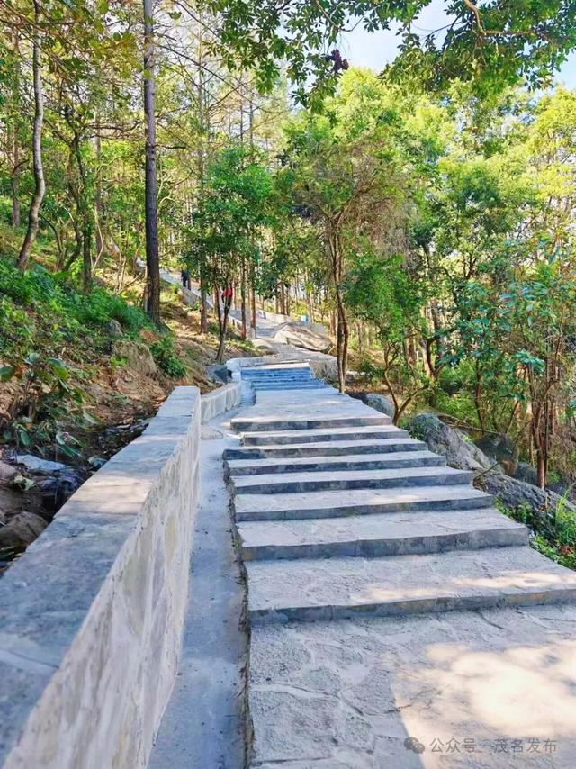 定了! 徒步云上南清,见证深山村落的文旅蝶变之路