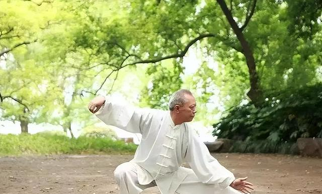 学太极拳此套路，一通百通，融会贯通