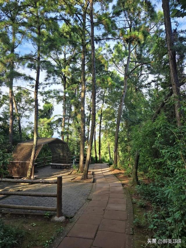 深秋想赴一场“森”系约会？来邛崃就够了！
